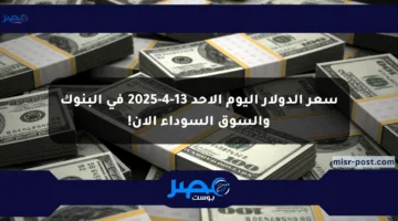سعر الدولار اليوم الأحد 13-4-2025 في البنوك والسوق السوداء الآن!